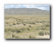 Click to enlarge this image